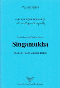 Den_Singamukha