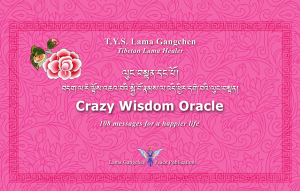 Len_crazy-wisdom-oracle