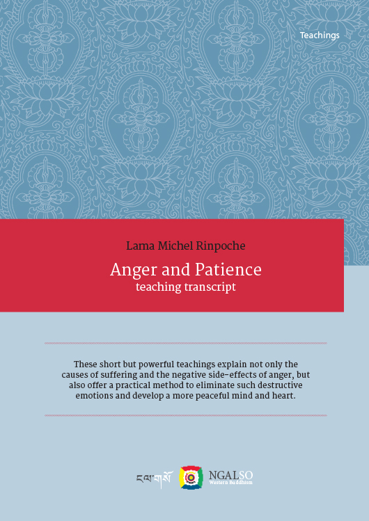 Thdseshort but powerful teachings explain not only the cause of suffering and the negative side-effects od anger, but also offer a practical method to eliminate such destructive emotions and develop a more peaceful mind and heart. 