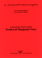 d_manjushrinero_it