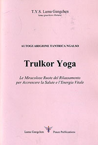 d_trulkhor_it